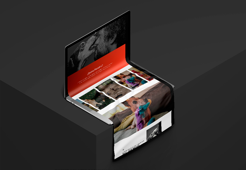 mockup mac con un diseño web de adiestramiento canino