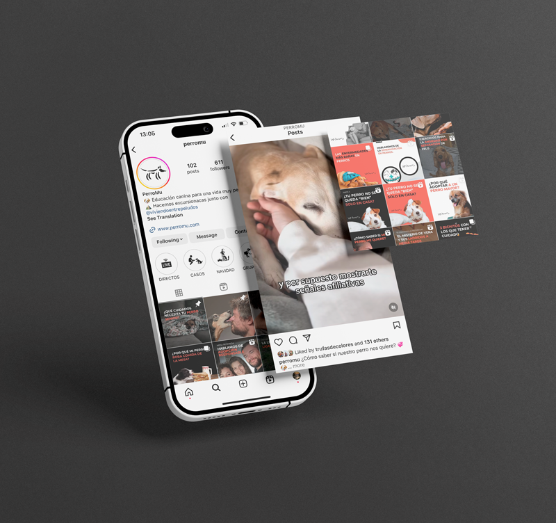 mockup iphone con varias pantallas
